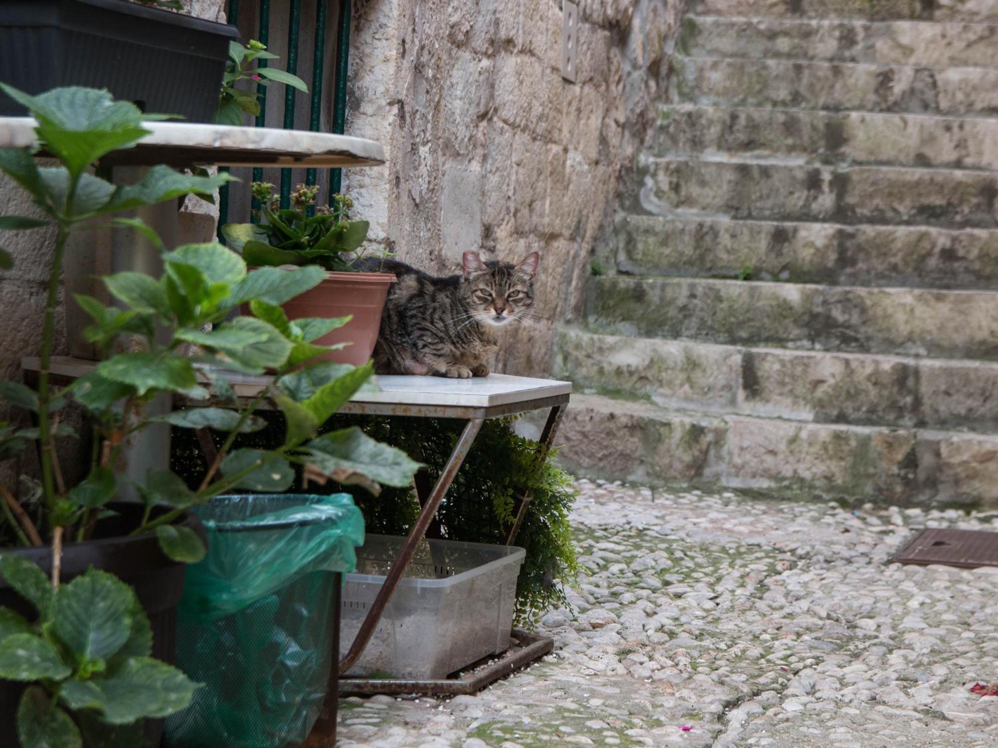 Appartamento Ella la Bella III Dubrovnik Old town Esterno foto